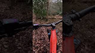 MTB💥I love this trail mtb mtbbike mtblife mtblove bikeride bikelife trail downhill drop [upl. by Lrac861]