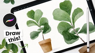 How To Draw Watercolor Fiddle Leaf Fig Tree • Procreate Tutorial [upl. by Gulgee319]