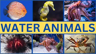 Water Animals Around the World  Water Animals for Kids [upl. by Geraldina]