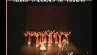 BFM  SPOT  CARMINA BURANA [upl. by Atnuahc894]