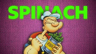 Why Popeye Loves Spinach Secret Revealed [upl. by Melinda]