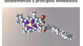 Bioelementos y principios inmediatos [upl. by Ethan]