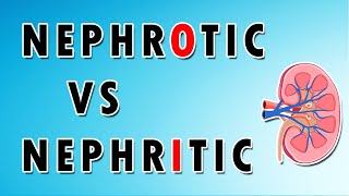 Nephrotic vs Nephritic Syndromes [upl. by Lamdin122]