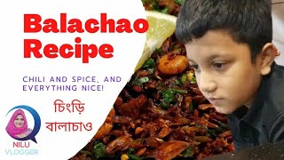 চিংড়ি বালাচাও ।। Dried Shrimp Balachao।।চিংড়ি শুঁটকি বালাচাও।।Balachao recipe   Nilu vlogger [upl. by Perr]