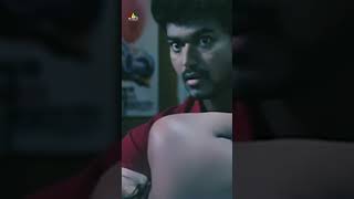 Trisha kiss to Vijay  Dopidi  shorts  youtubeshorts  SriBalajiVideo [upl. by Anej]