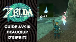 Guide avoir Beaucoup d’Esprits   ZELDA  TEARS OF THE KINGDOM [upl. by Eetnahs925]