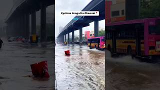 Cyclone in Chennai  maza aaya machh pakad ke feedshorts ytshorts chennai beach [upl. by Atiekram15]