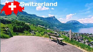 Driving in switzerland 🇨🇭  Beutiful Country [upl. by Hinson8]