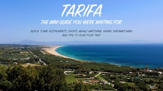 Mini guide of TARIFA Spain  Beach town activities natural parks and clips of wild animals [upl. by Adnohsat]