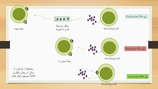 Cytokines and Chemokines السيتوكينات والكيموكينات [upl. by Anaynek]