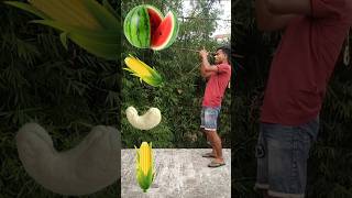 Rounding coconut to Grapes Mango lichi amp Watermelon  Fruits names magic video [upl. by Anitnatsnoc]