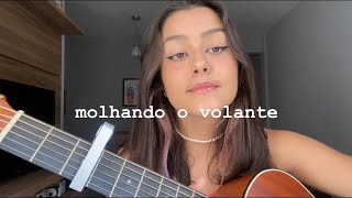 MOLHANDO O VOLANTE  Jorge amp Mateus “cover Ana Gretter” [upl. by Karlens]