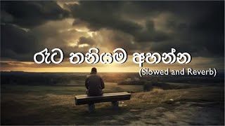 රෑට තනියම අහන්න  Slowed and Reverb  SH Beats  Manoparakata  🥰❤️‍🩹 [upl. by Phedra]