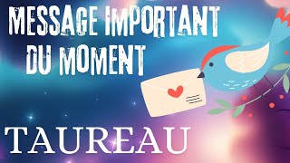 TAUREAU ♉️ MESSAGE IMPORTANT DU MOMENT 🔮💫 [upl. by Mlawsky]