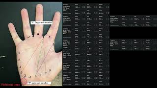 Grip alignment F1P2 test amp full stats overview  tech disc tests disc golf [upl. by Elbring504]