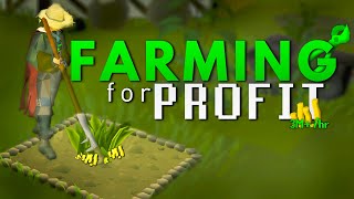 I make 32M GP Per Hour with the Farming Skill [upl. by Hagai879]