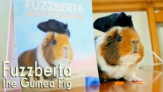 Fuzzberta The Guinea Pig Models Handmade Costumes [upl. by Shem]