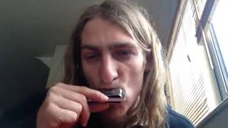 HOW TO PLAY LITTLE WALTERS JUKE WILL WILDE HARMONICA [upl. by Alyworth]