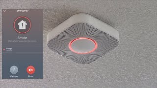 Testing the Nest Protect Smoke Alarm with Fire [upl. by Latoya]