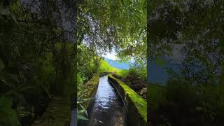 Nature under water nature naturephotography videography cinematography fotografia [upl. by Nomzed]