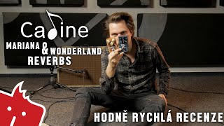 HRR Caline Mariana amp Wonderland Reverbs [upl. by Enyr]