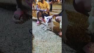 SKLM DOG FEST part2 ❤️🐕🐶🐾🐕‍🦺🐩 telugu pets dog doglover srikakulam viralvideo famousshorts [upl. by Aiuqenehs728]