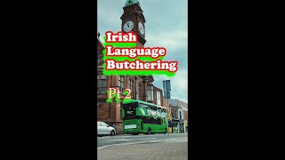 Why the Irish Language is More Important Than Ever ireland irelandvlogs [upl. by Cirdahc]