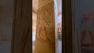 The Mastaba of Mereruka egypt ancientegypt history highlights pyramids travel youtubeshorts [upl. by Cynar491]