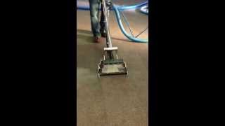 Carpet cleaning satisfying ocd cleaning Turlock [upl. by Winni]