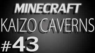 Kaizo Caverns 43  quotWhite Woolquot Z112 [upl. by Artkele680]