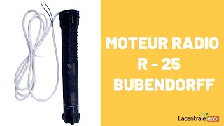 Moteur radio R  25 Nm  télécommande Bubendorff  BUB221184221185GR [upl. by Ragas]