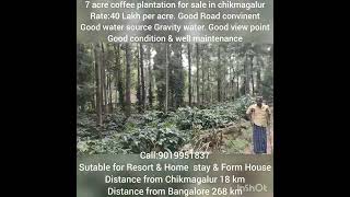 7 Acre coffee plant for sale in chikmagalurGood view pointprice40 Lakh per Acrecall9019951837 [upl. by Ilenay573]