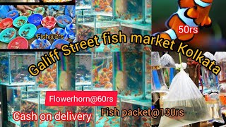 Galiff street Aquarium Market Tour   Cash On Delivery Abilable 🐬🦈 part 1 [upl. by Lavena]