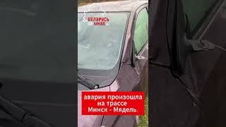 Беларус показал авто после встречи с лосём на трассе Минск  Мядель лось дорога кабан косуля [upl. by Yrolam31]