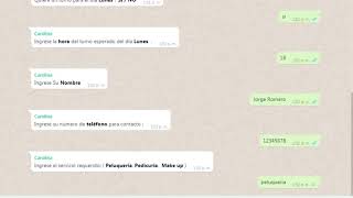 Turnero Whatsapp y excel [upl. by Sucerdor390]