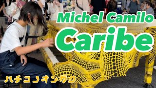 都庁ピアノ Caribe  Michel Camilo Tokyo metropolitan government Piano Cover Age14 [upl. by Akemrehs]