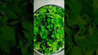 Munagaku Health Benefits  Moringa Leaves Health Benefits viral trending youtubeshorts shorts [upl. by Nauqet]