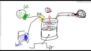 Theoriefragen zum Motor Teil 1 Fahrschule Führerschein Klasse B 505 [upl. by Noleta]