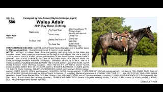 Pitzer Ranch Fall Sale 2024 Lot 580 WALES ADAIR [upl. by Anej]