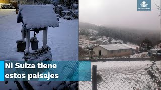 Así amaneció el norte de México después de la primera tormenta invernal [upl. by Fari]