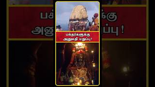 Tiruvannamalai Deepam 2024  Tiruvannamalai Live  Thiruvannamalai Karthigai Deepam 2024  Shorts [upl. by Mirabelle415]