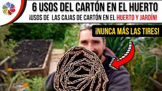 📦 NUNCA MÁS TIRES las CAJAS de CARTÓN 🌱 LOS 6 MEJORES USOS del CARTÓN en tu HUERTO o JARDÍN [upl. by Mata]