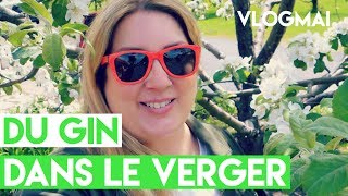 DU GIN DANS LE VERGER 🍎🍸 VLOGMAI [upl. by Menedez353]