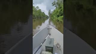 Swamp ride with the inboard mudboat [upl. by Yennor]