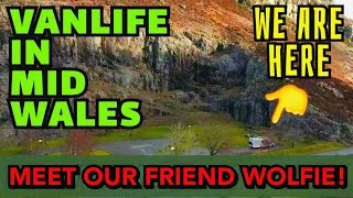 MEET OUR NEW FRIEND WOLFIE MID WALES PT 1 BEAUTIFUL ELAN VALLEY VANLIFE WALES MOTORHOME TRAVEL [upl. by Nelrah]