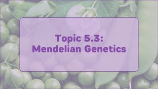 AP Biology  Topic 53 Mendelian Genetics [upl. by Laurianne]