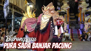 NAPAK PERTIWI IDA SESUHUNAN BARONG ASU ‼️ PURA SADA BANJAR PACUNG [upl. by Giffy260]