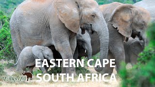 Eastern Cape  South Africa [upl. by Nnyre]