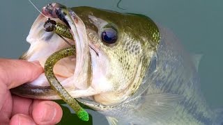 Jerkbaits to Finesse Fishing  Unlocking the Bass Pattern at Loch Raven Reservoir [upl. by Elehcir]