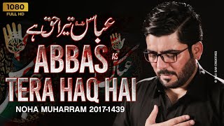 Abbasas Tera Haq Hai  Mir Hasan Mir  New Noha 2017 1439 HD [upl. by Adlih]